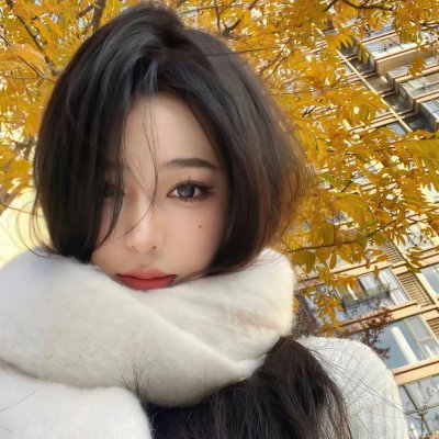 来自未来的访客 海报